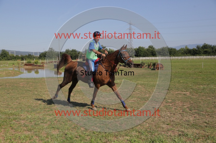 MAT_3717.JPG