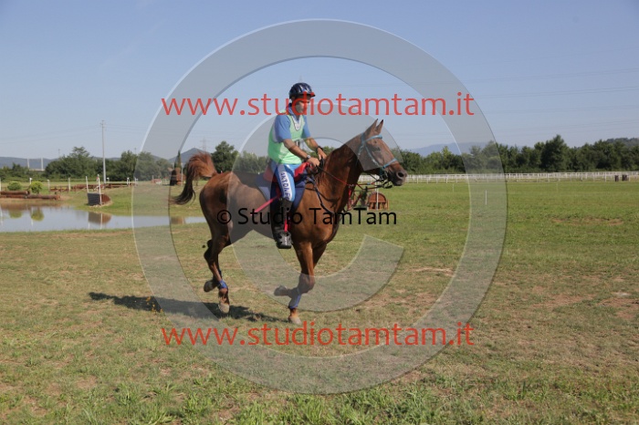MAT_3718.JPG