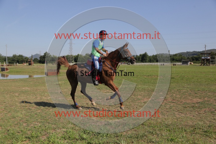 MAT_3719.JPG