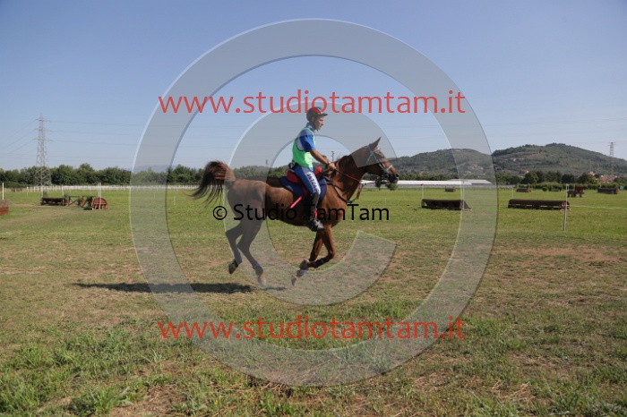 MAT_3720.JPG