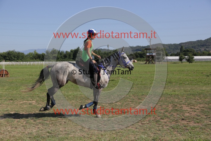 MAT_3769.JPG