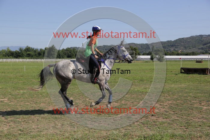 MAT_3770.JPG