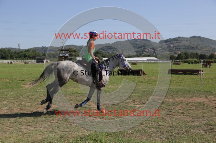 MAT_3771.JPG