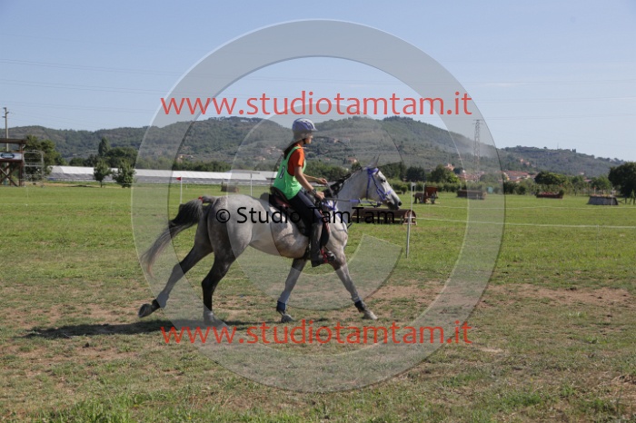 MAT_3772.JPG