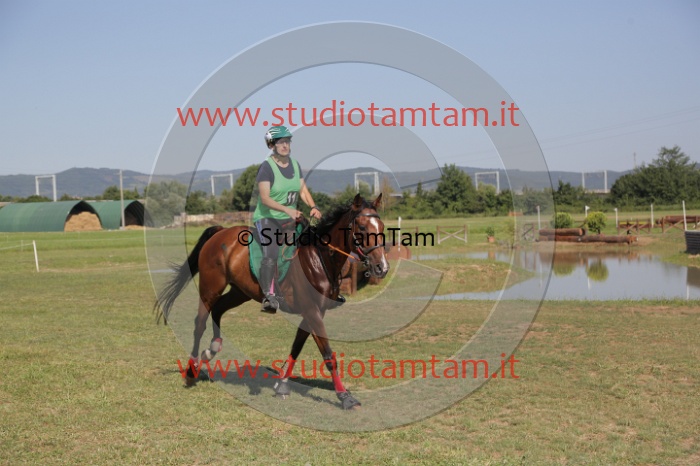 MAT_3776.JPG