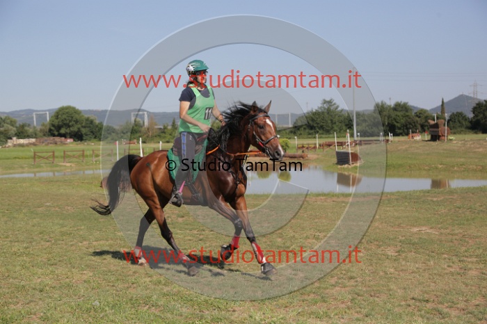MAT_3778.JPG