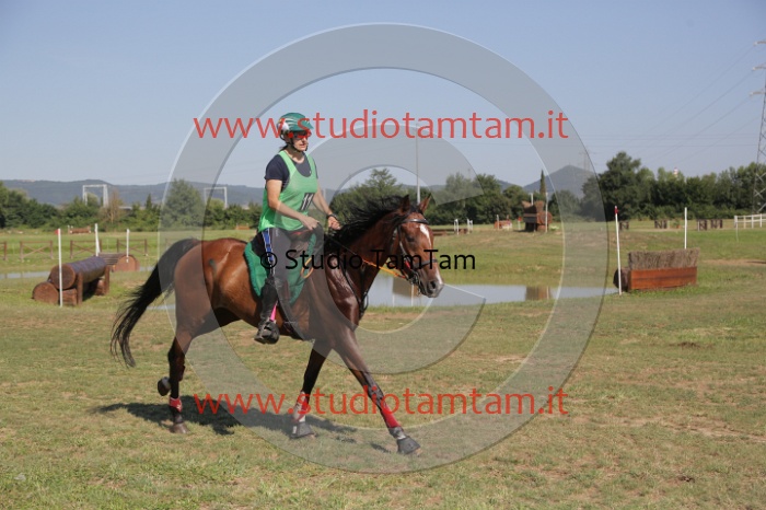 MAT_3779.JPG