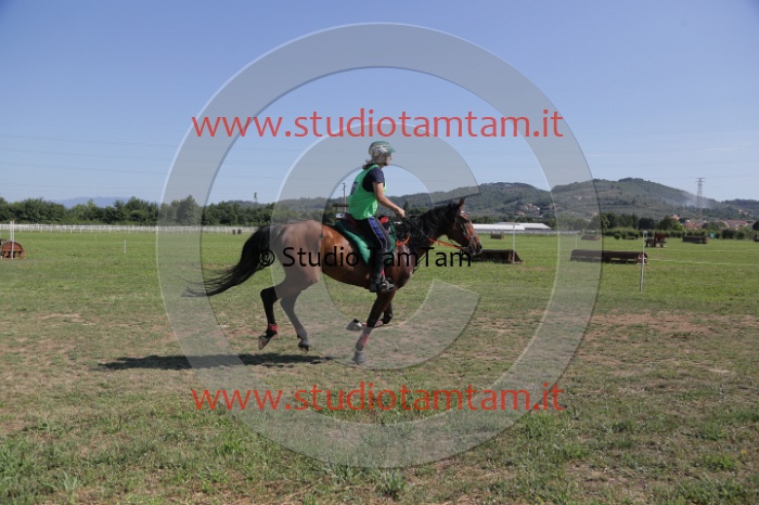 MAT_3783.JPG