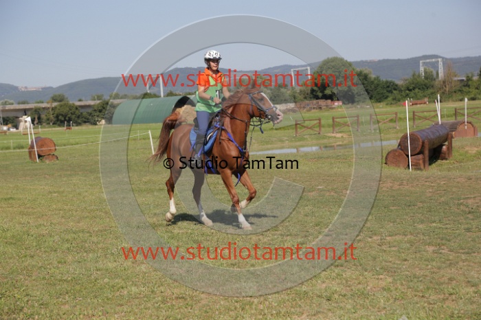 MAT_3798.JPG