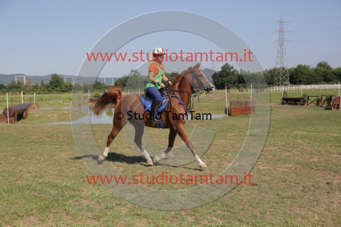 MAT_3805.JPG