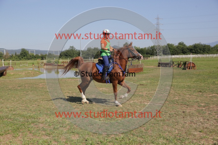 MAT_3806.JPG