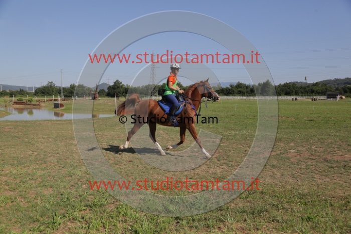 MAT_3808.JPG