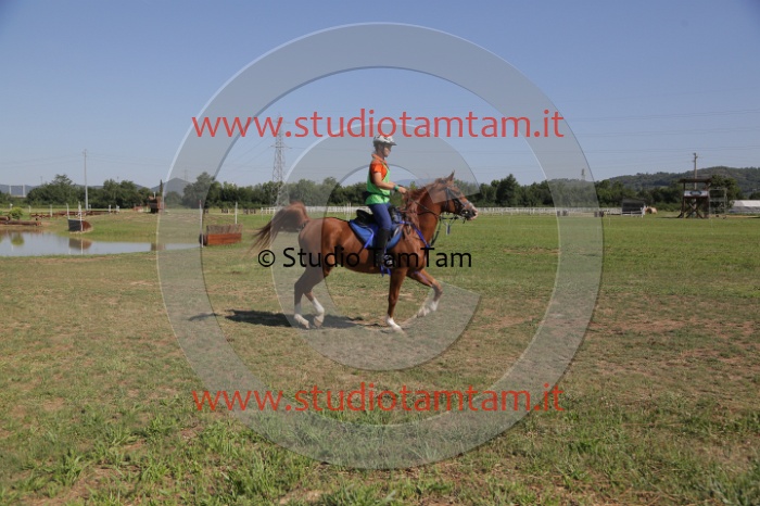 MAT_3809.JPG