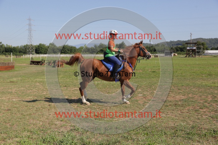 MAT_3810.JPG