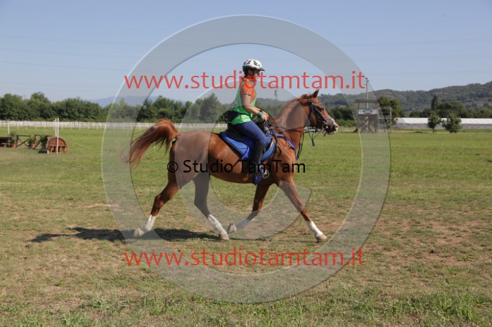 MAT_3811.JPG