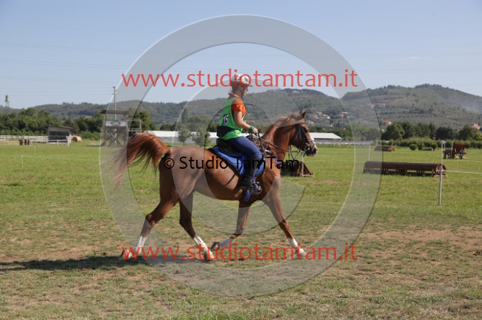 MAT_3813.JPG