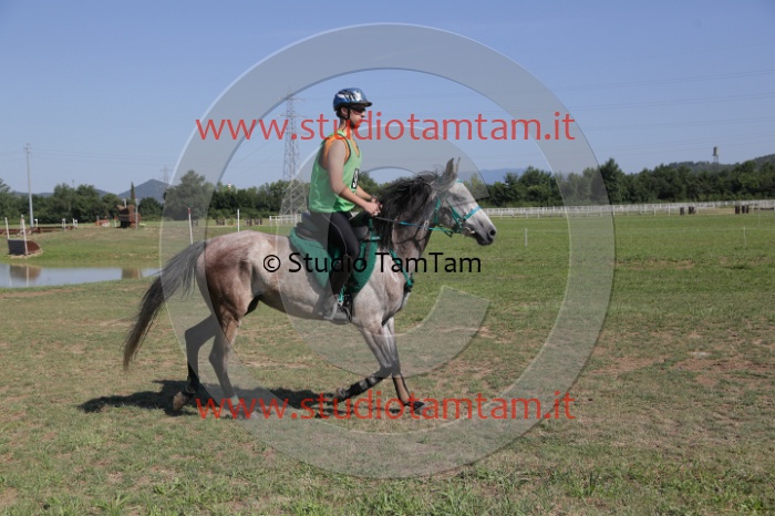 MAT_3849.JPG