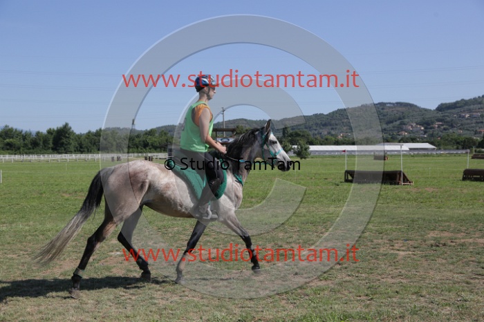 MAT_3851.JPG