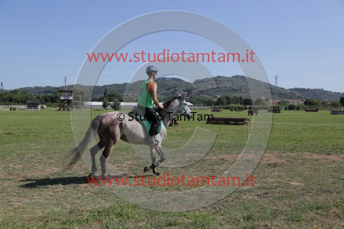 MAT_3854.JPG