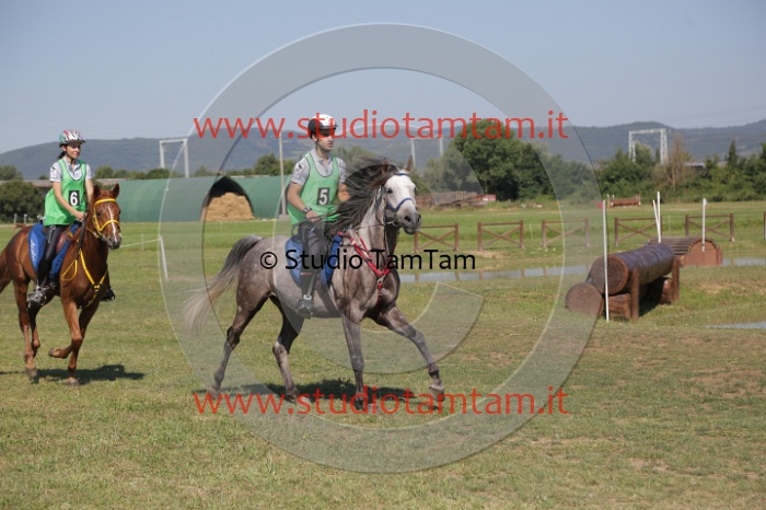MAT_3856.JPG