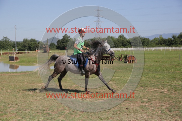 MAT_3862.JPG