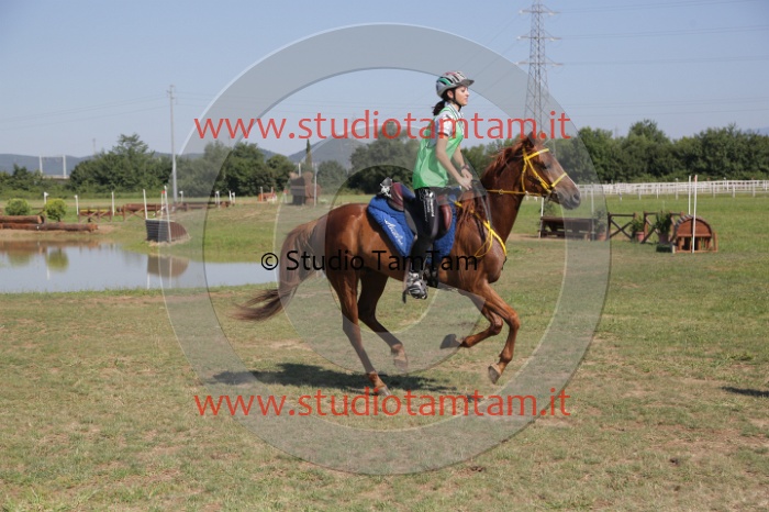 MAT_3865.JPG