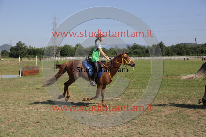 MAT_3867.JPG