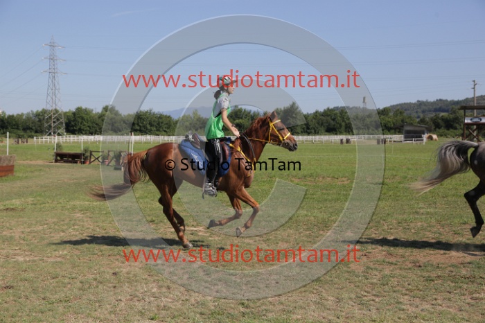 MAT_3868.JPG