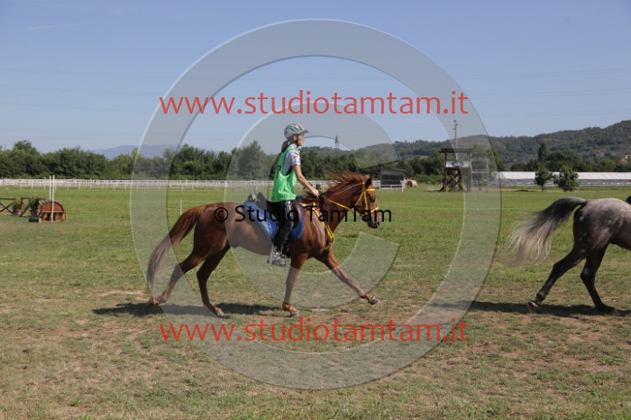 MAT_3869.JPG