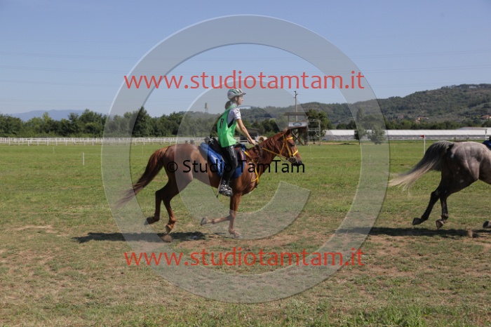 MAT_3870.JPG