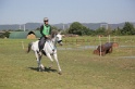 MAT_3646