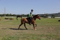 MAT_3662