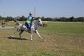 MAT_3673