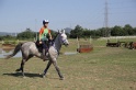 MAT_3763