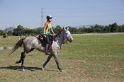 MAT_3766