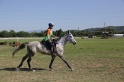 MAT_3768