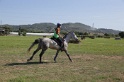 MAT_3772