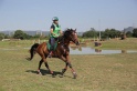 MAT_3778