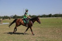 MAT_3781