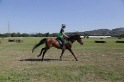 MAT_3782