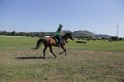 MAT_3784