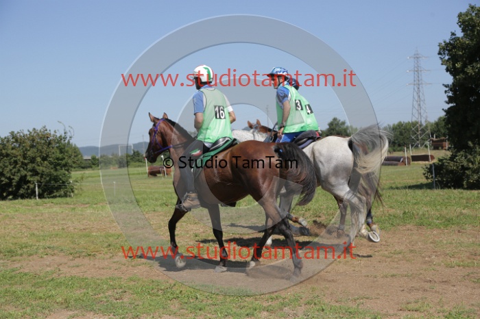 MAT_4074.JPG