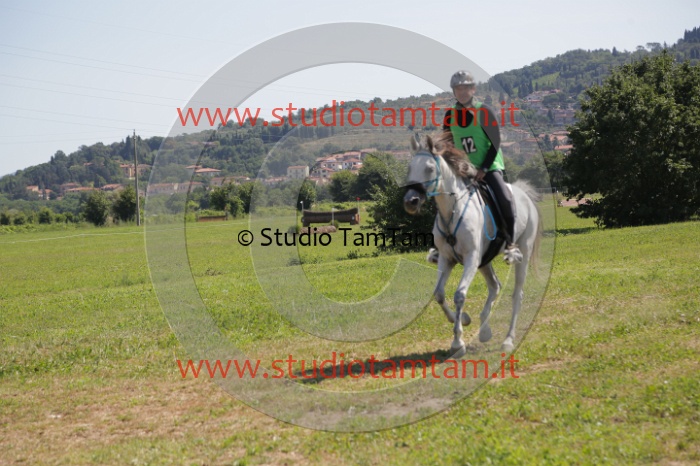 MAT_4076.JPG