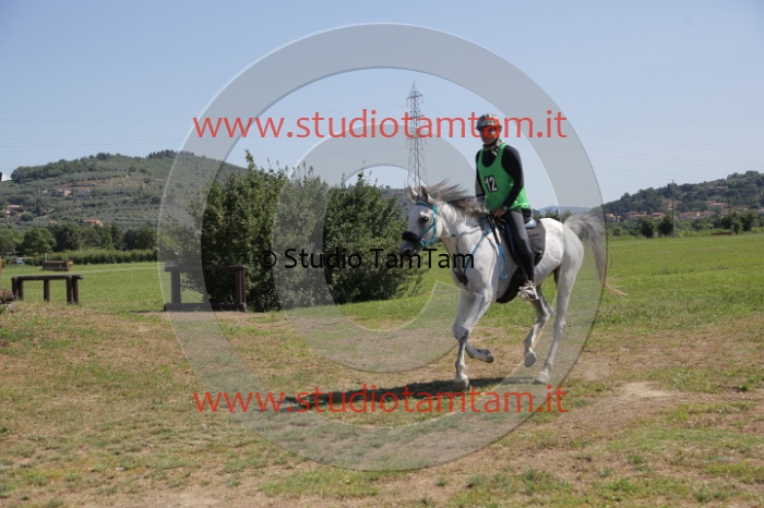 MAT_4080.JPG