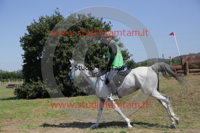 MAT_4085.JPG