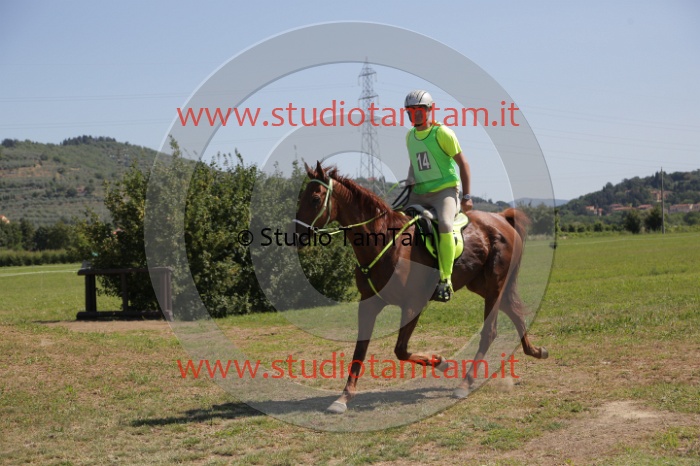 MAT_4094.JPG