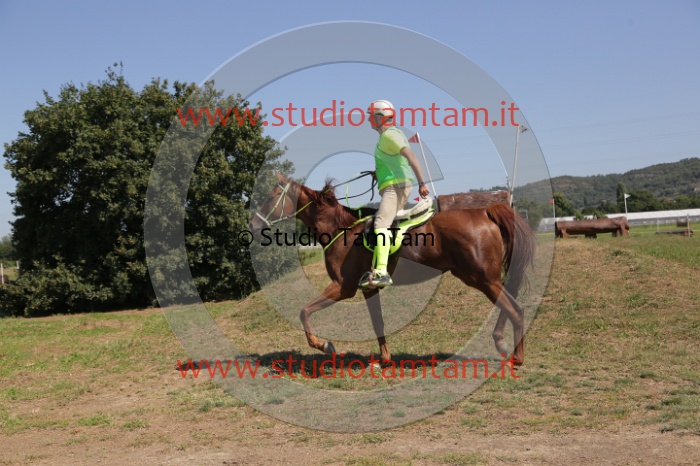 MAT_4103.JPG