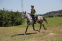 MAT_4195
