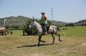 MAT_4196