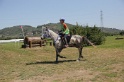 MAT_4198